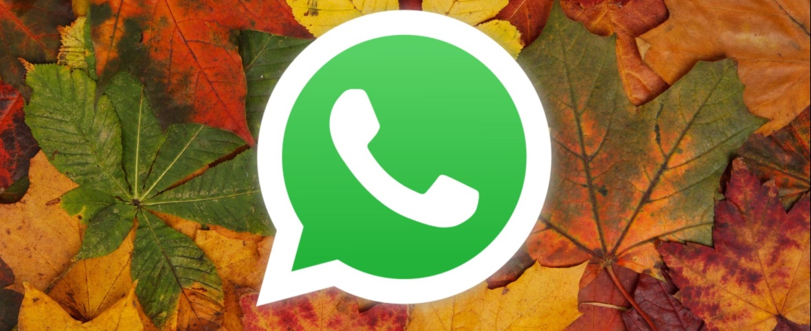 Qué es y cómo activar el “modo otoño” de WhatsApp