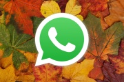 Qué es y cómo activar el “modo otoño” de WhatsApp