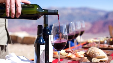 Vinos jujeños: de marginales a elegidos por los grandes chefs de Argentina